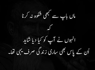 one line quotes in urdu attitude