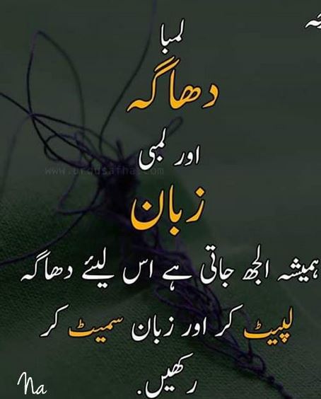 best quotes in urdu language