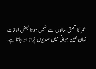beautiful quotes in urdu