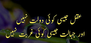 golden words in urdu